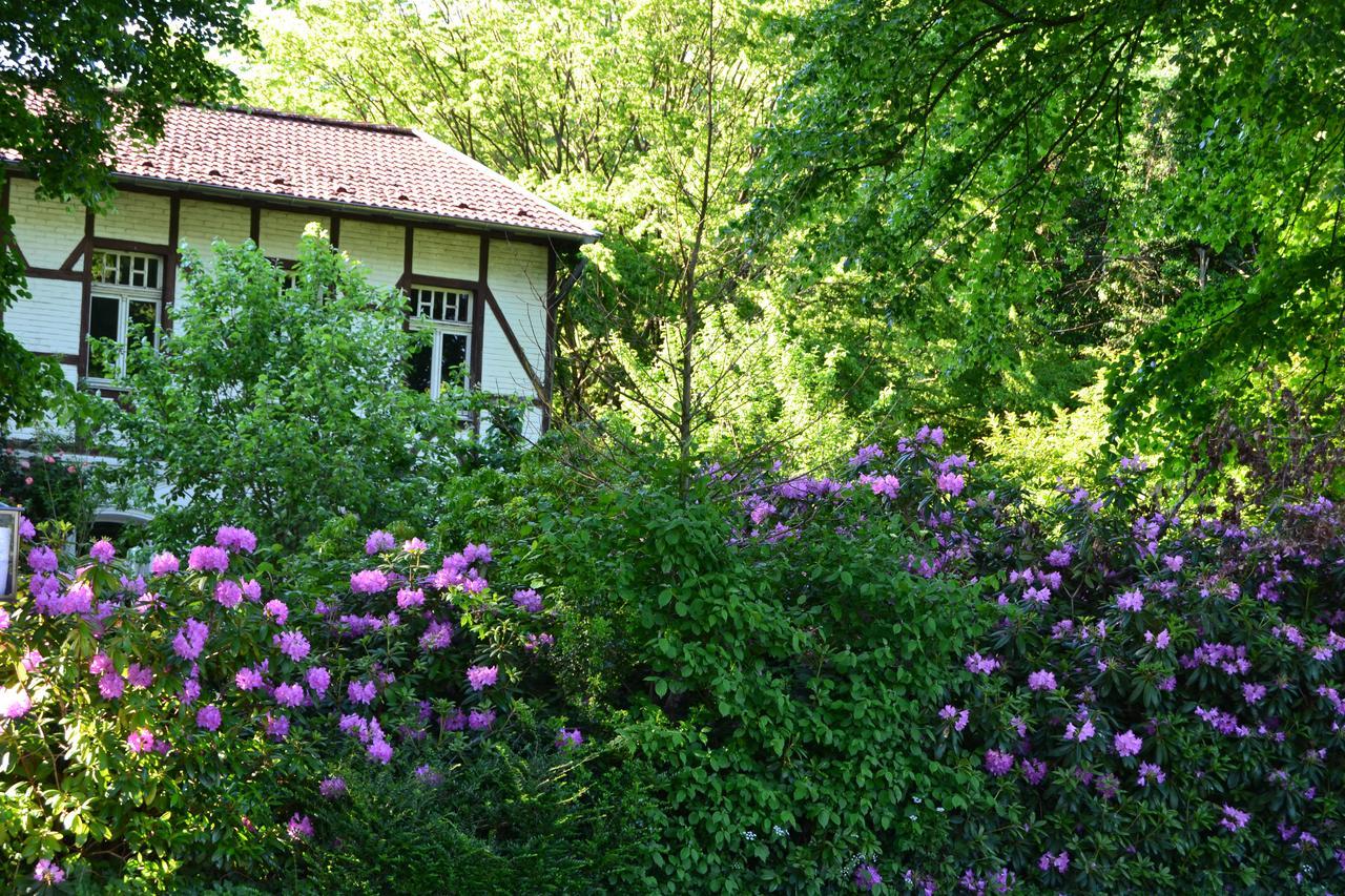 Gottesgabe Hotell Rheine Exteriör bild