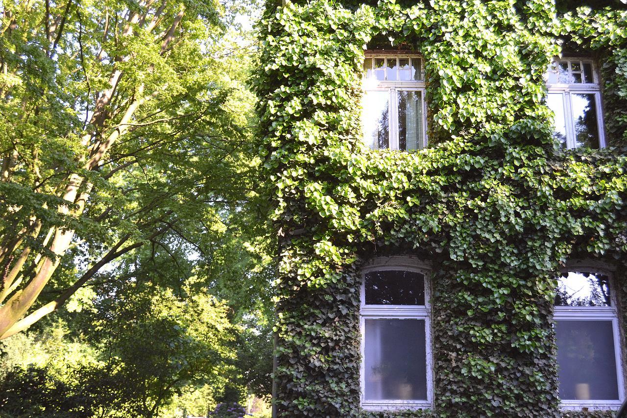 Gottesgabe Hotell Rheine Exteriör bild